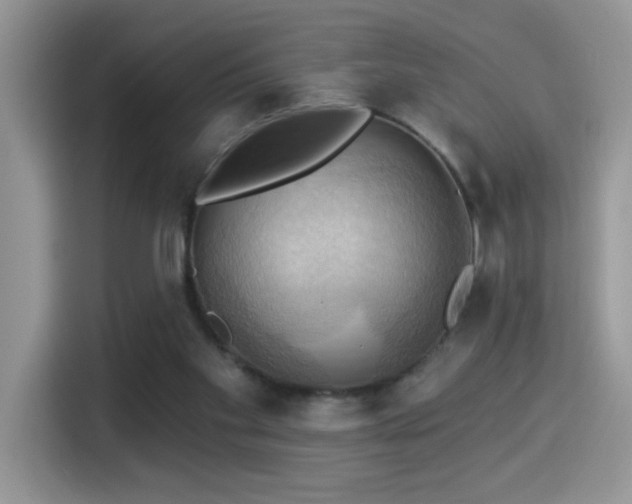 X0000115320109200911091205