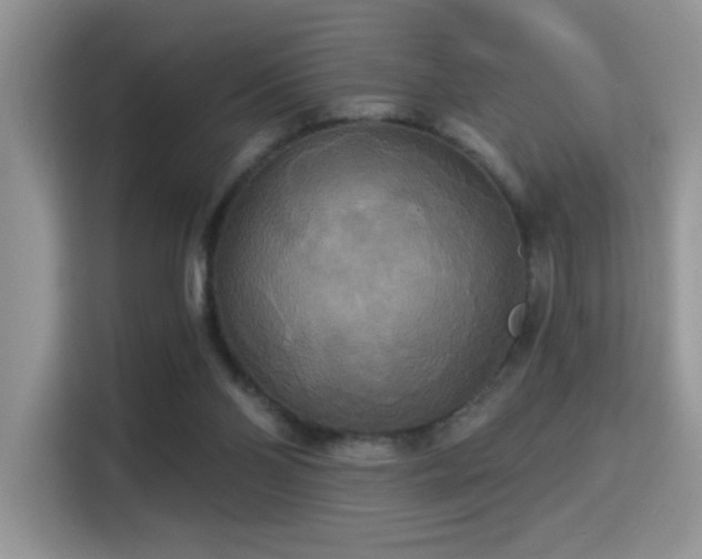 X0000115320110200911091205