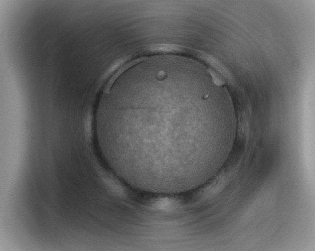 X0000115320111200911091205