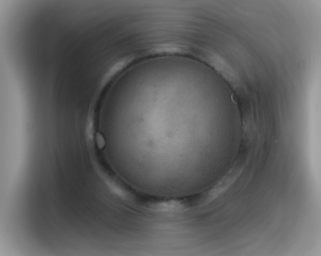 X0000115320112200911091205