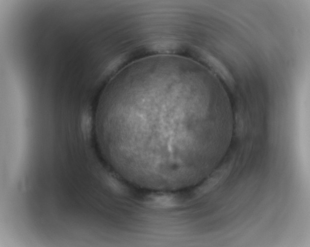 X0000115320113200911091205