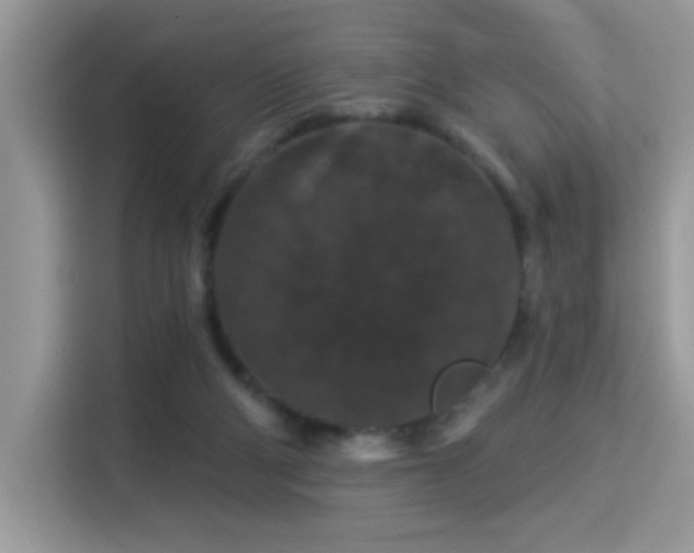 X0000115320114200911091205