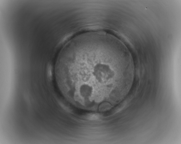 X0000115320115200911091205