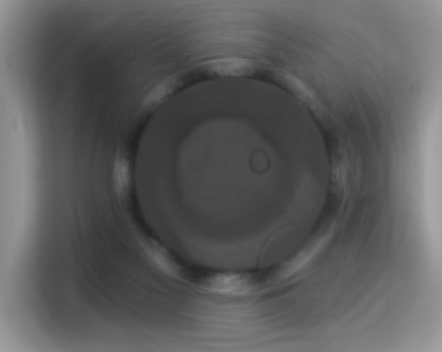 X0000115320117200911091205