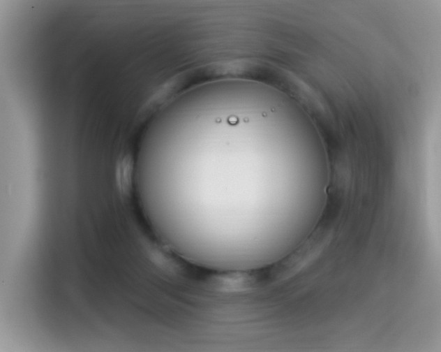 X0000115320118200911091205