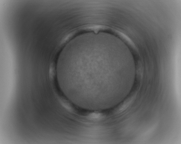 X0000115320119200911091205