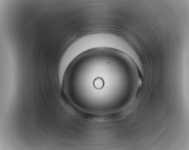 X0000115320120200911091205