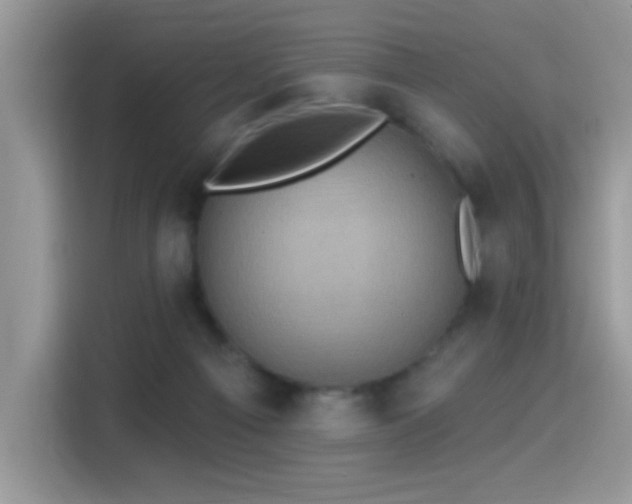 X0000115320121200911091205