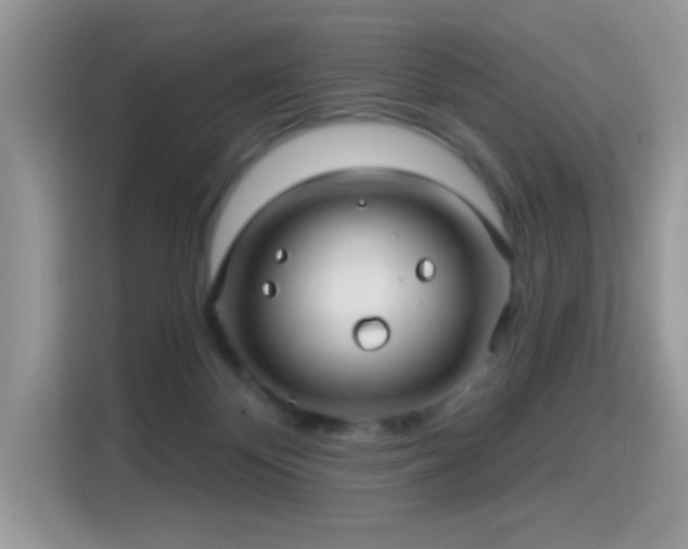 X0000115320124200911091205