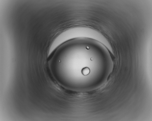 X0000115320128200911091205