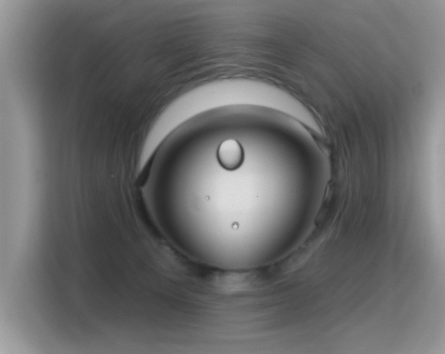 X0000115320129200911091205