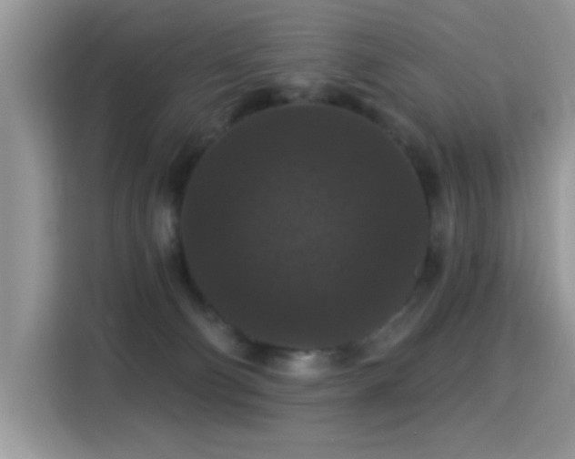 X0000115320130200911091205