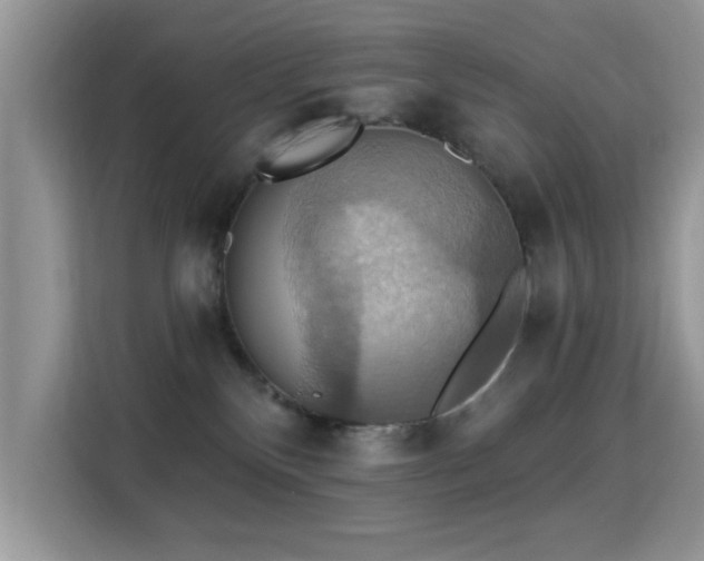 X0000115320136200911091205