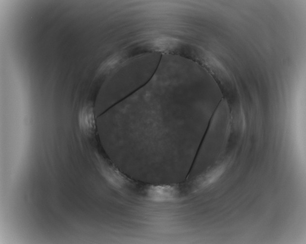 X0000115320137200911091205