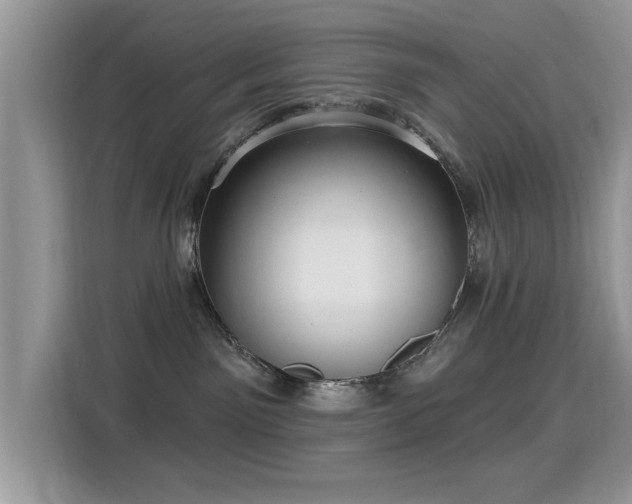 X0000115320141200911091205