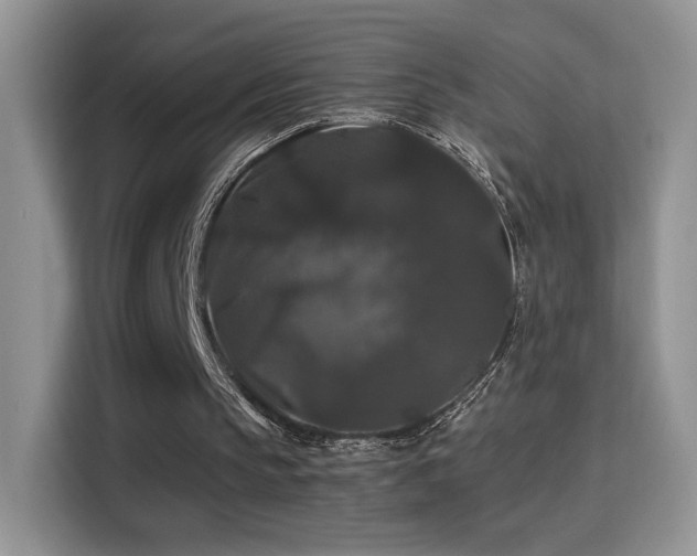 X0000115320145200911091204