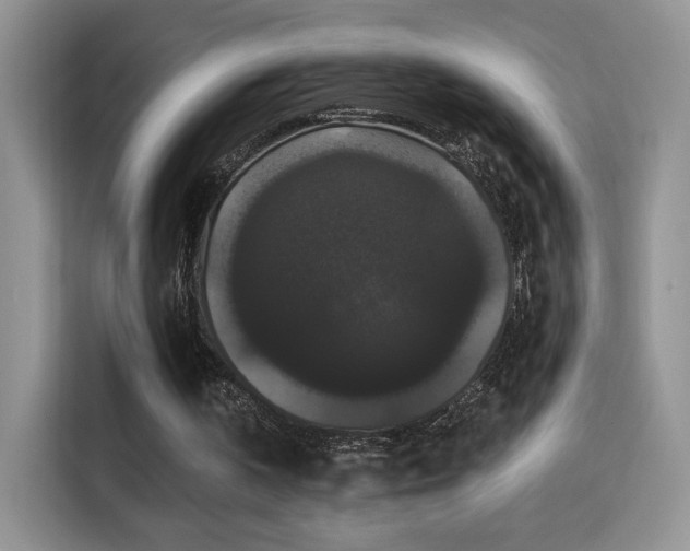 X0000115320146200911091204