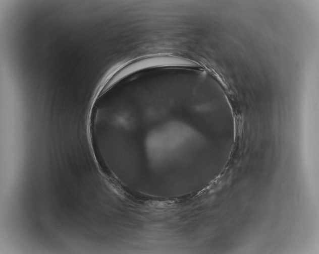 X0000115320147200911091204