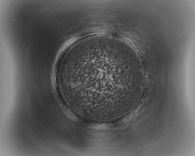 X0000115320149200911091204