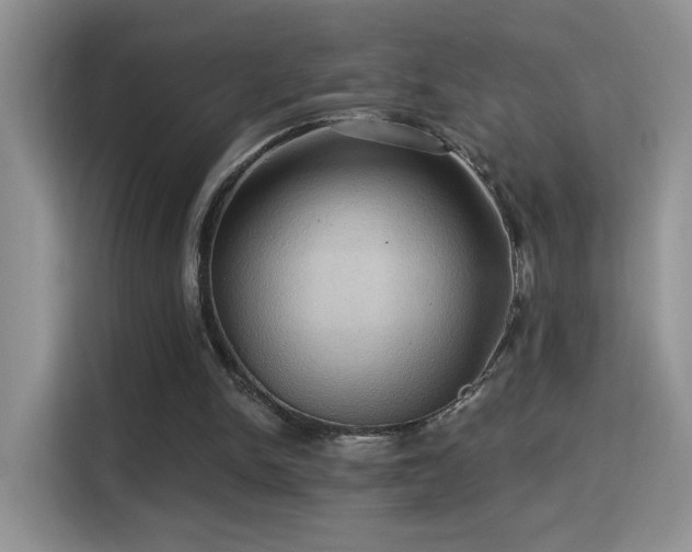 X0000115320150200911091204