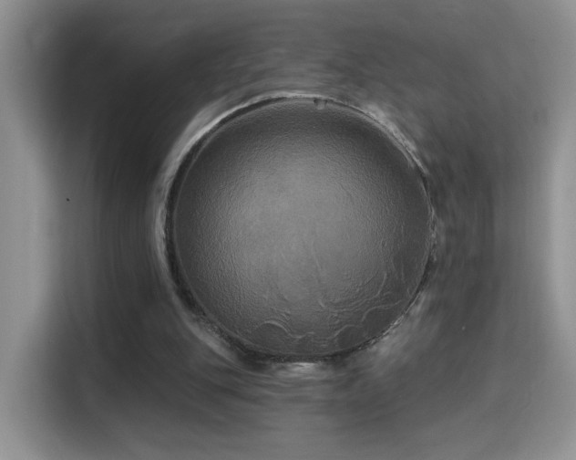 X0000115320151200911091204