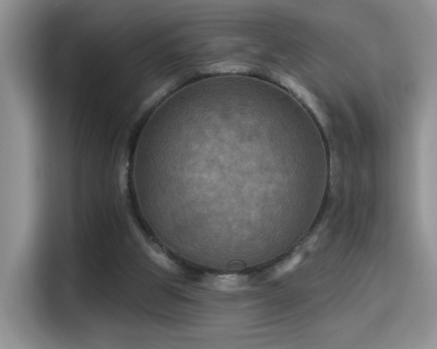 X0000115320153200911091204