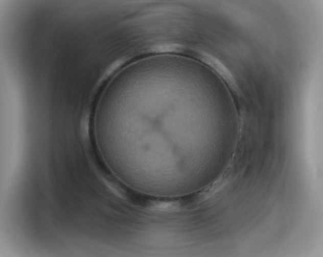 X0000115320155200911091204