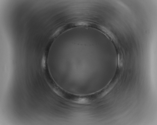 X0000115320157200911091204