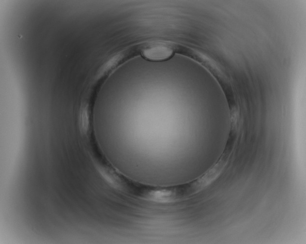 X0000115320158200911091204