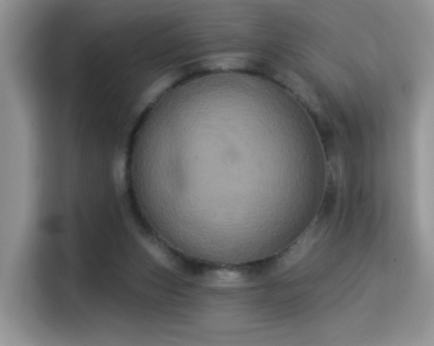 X0000115320159200911091204