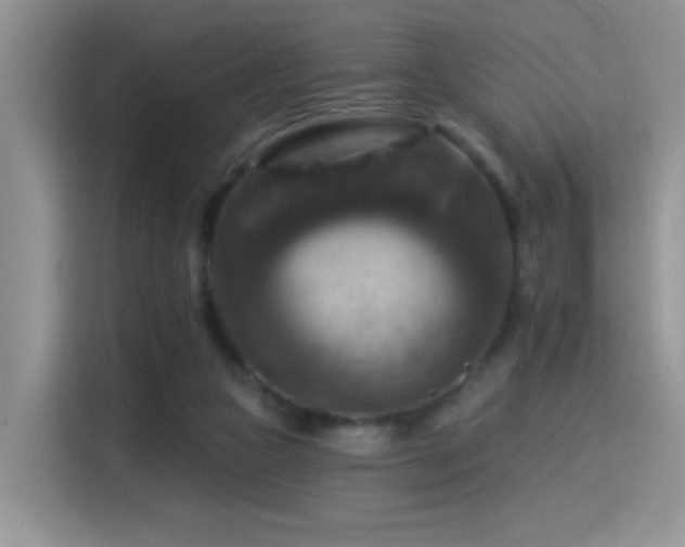 X0000115320161200911091204