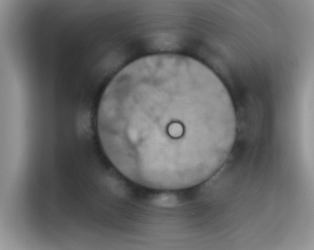 X0000115320162200911091204