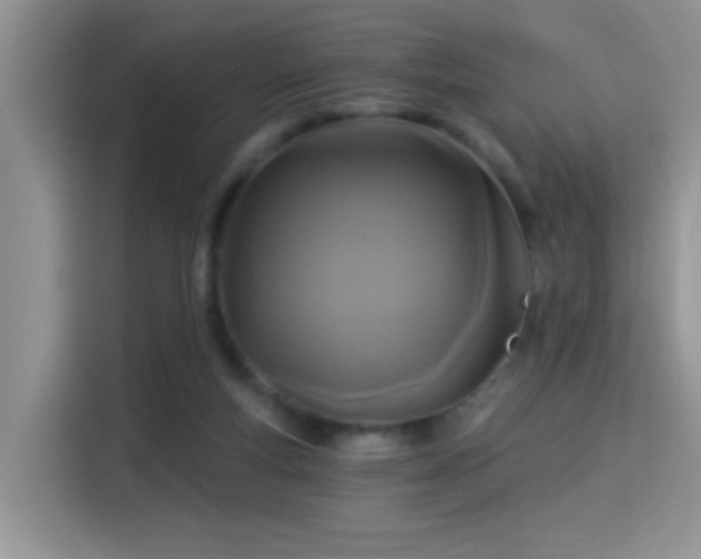 X0000115320163200911091204