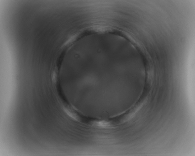 X0000115320165200911091204