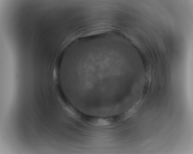 X0000115320166200911091204