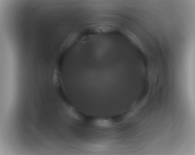 X0000115320169200911091204