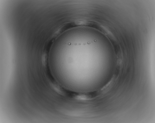 X0000115320171200911091204