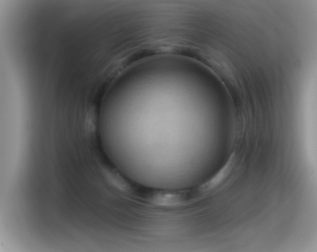 X0000115320174200911091204