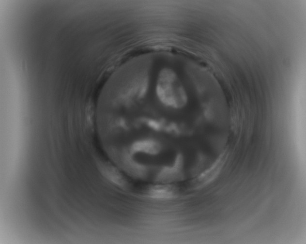 X0000115320175200911091204