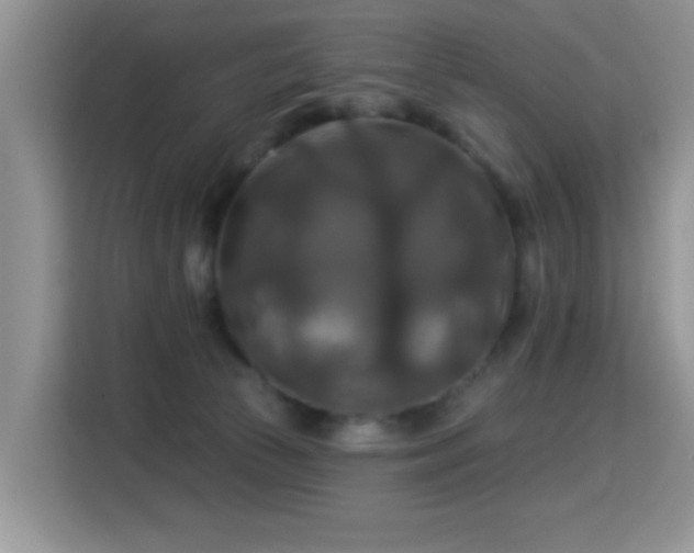 X0000115320177200911091204