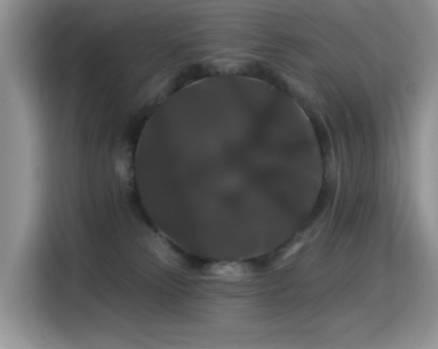 X0000115320181200911091204