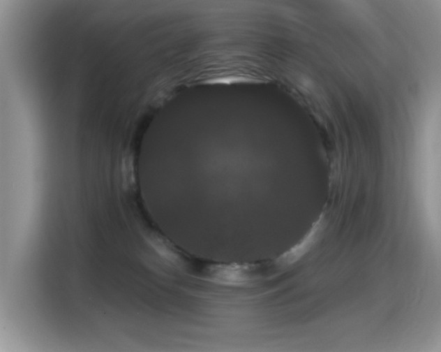 X0000115320182200911091204