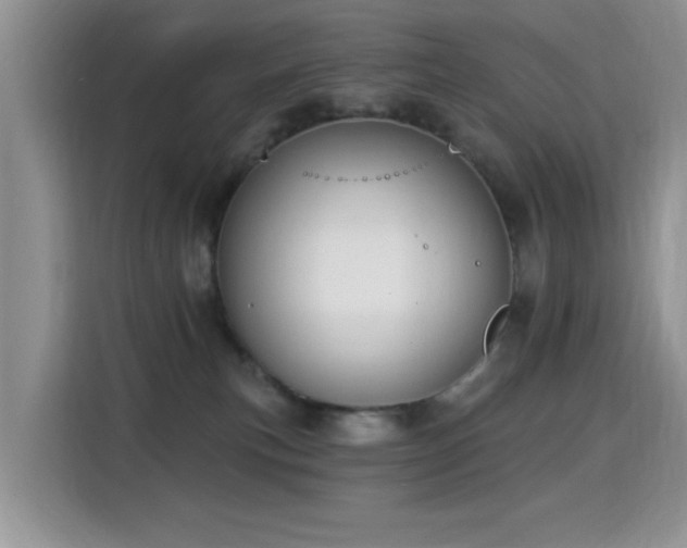 X0000115320183200911091204