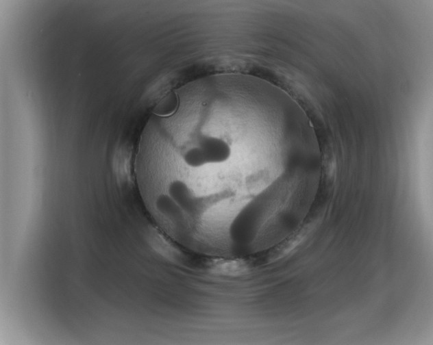 X0000115320185200911091204