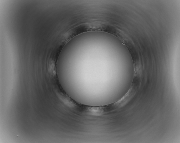 X0000115320187200911091205