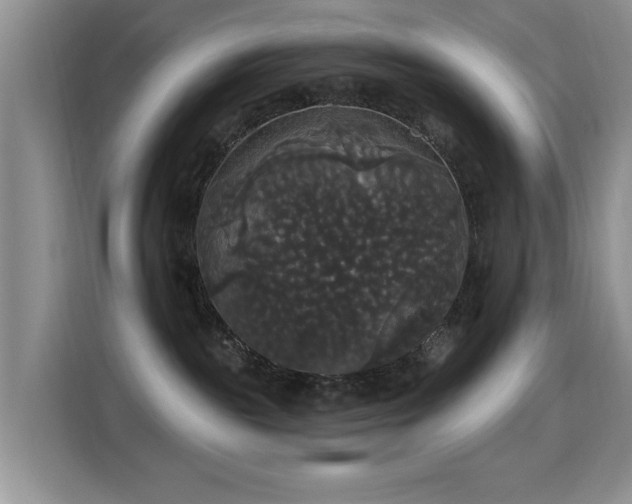 X0000115320189200911091205