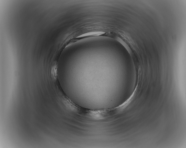 X0000115320190200911091205