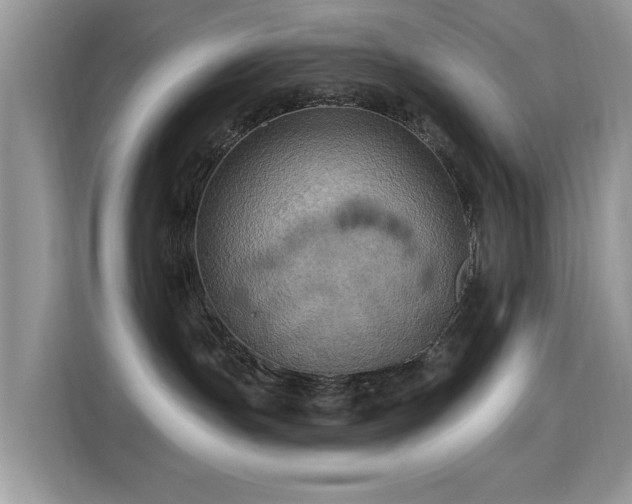 X0000115320191200911091205