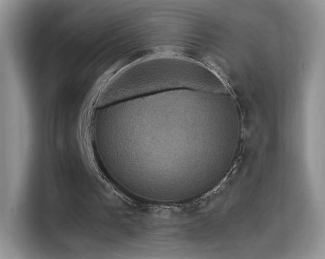 X0000115320193200911091204