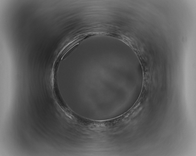 X0000115320194200911091204